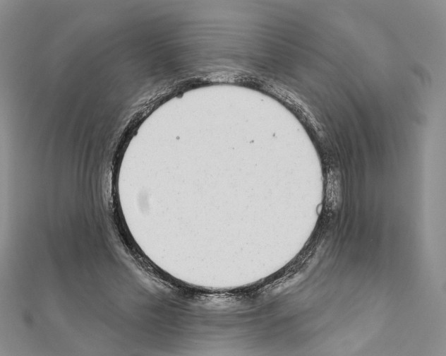 X0000110880589200907301435