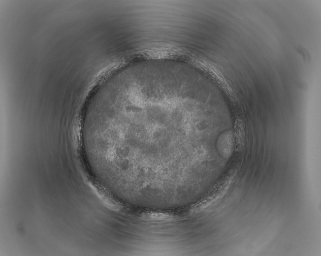 X0000110880590200907301435