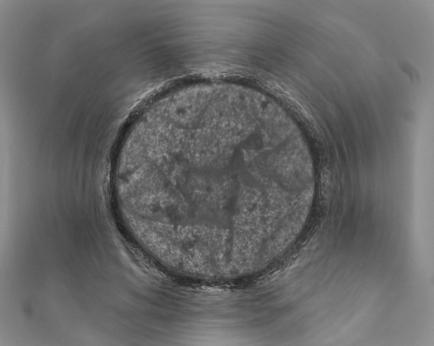 X0000110880592200907301435