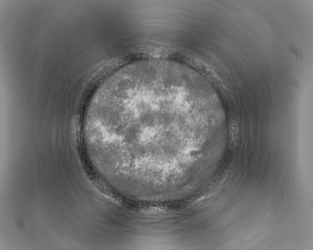 X0000110880594200907301435