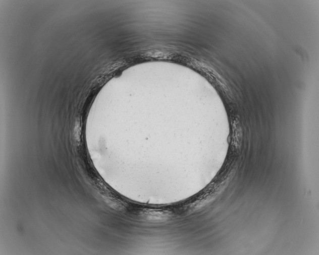 X0000110880597200907301435