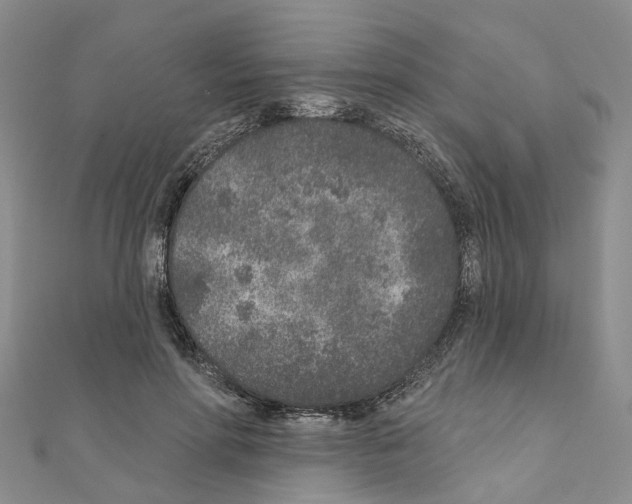 X0000110880598200907301435