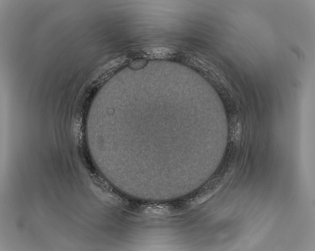 X0000110880599200907301435