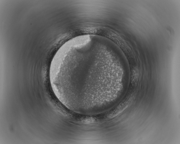 X0000110880600200907301435