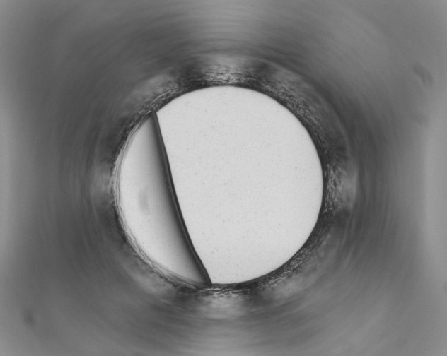 X0000110880601200907301435