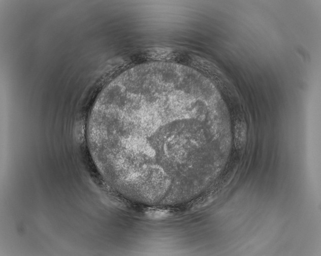 X0000110880602200907301435