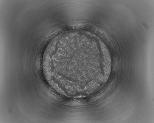 X0000110880604200907301435