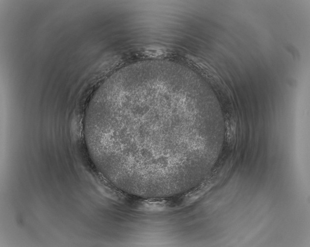 X0000110880606200907301435