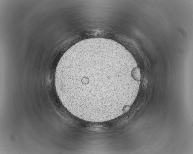 X0000110880607200907301435