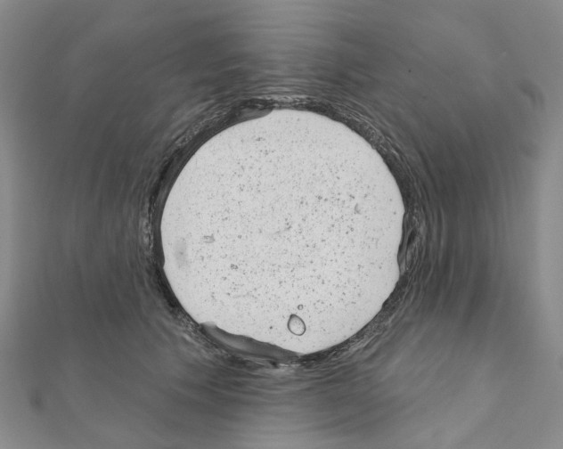 X0000110880609200907301435