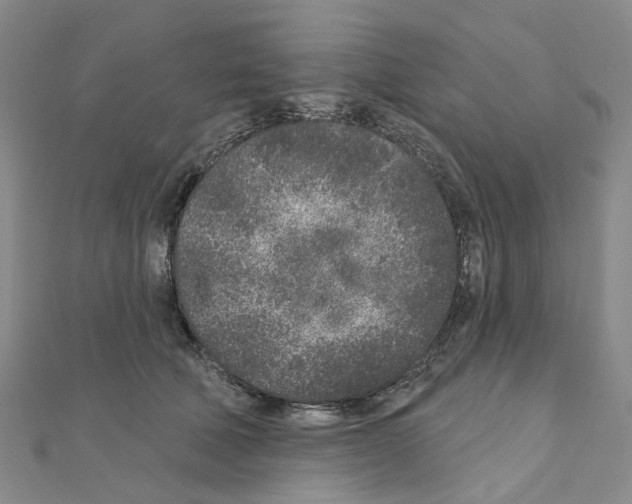 X0000110880610200907301435