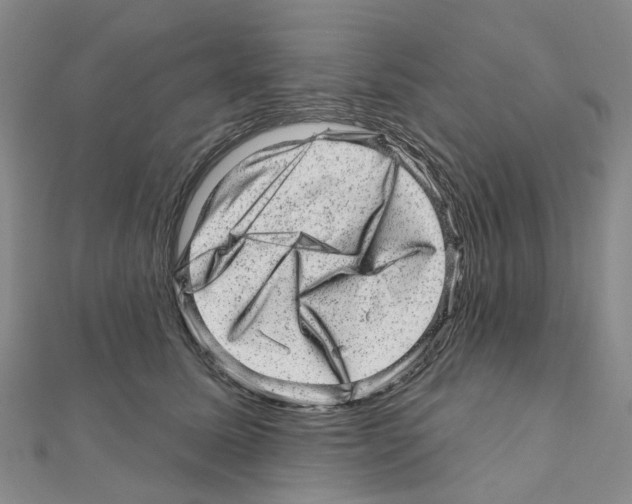 X0000110880611200907301435