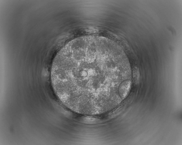 X0000110880614200907301435