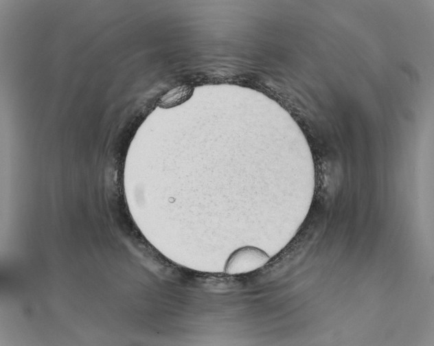 X0000110880615200907301435