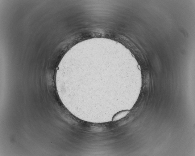 X0000110880616200907301435