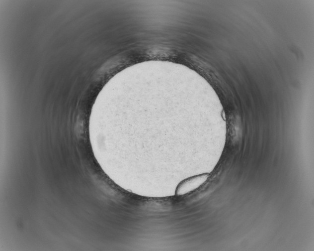 X0000110880619200907301435