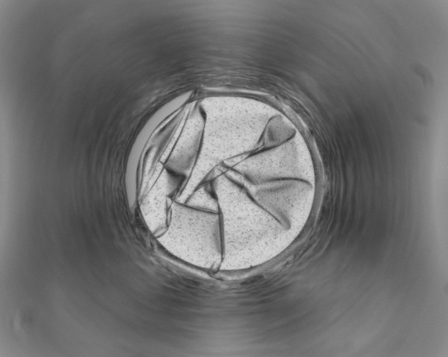 X0000110880621200907301435