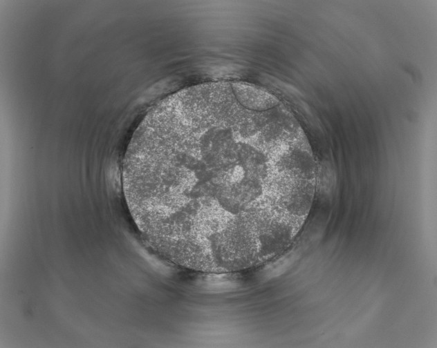 X0000110880622200907301435