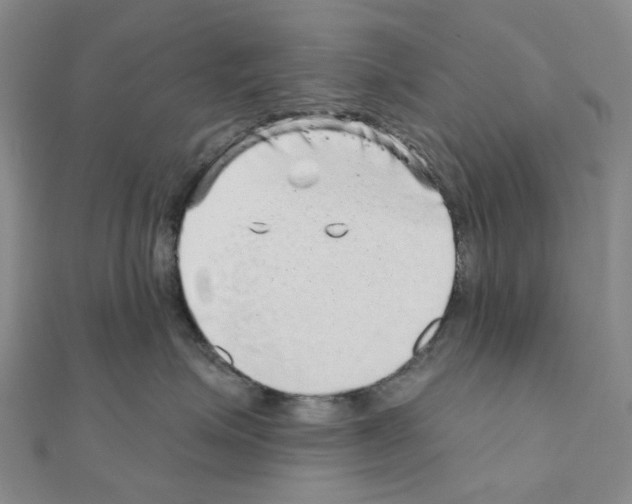 X0000110880623200907301435