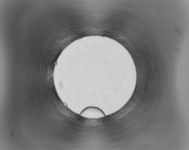 X0000110880624200907301435