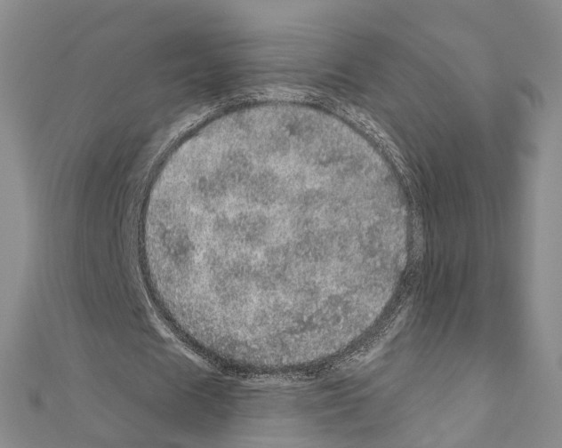 X0000110880625200907301434