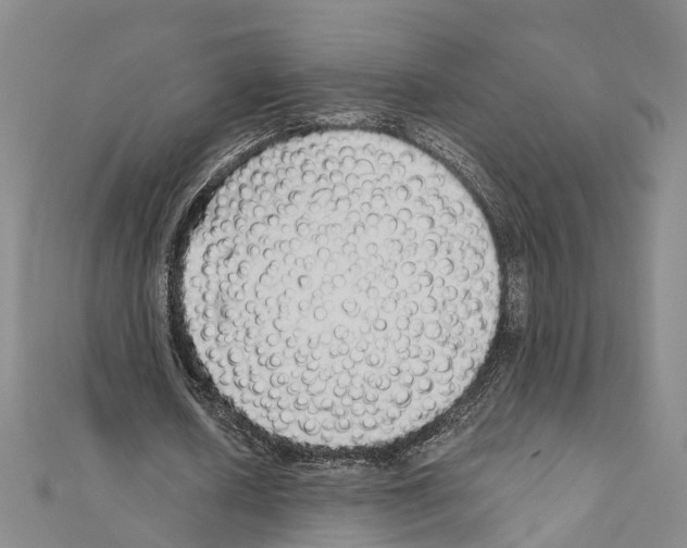 X0000110880626200907301434