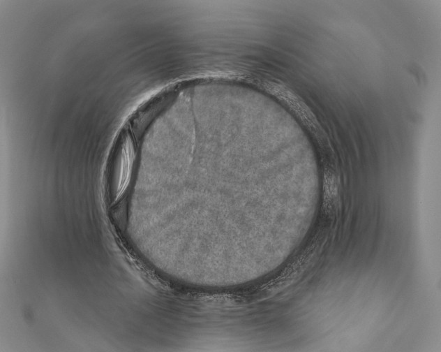 X0000110880628200907301434