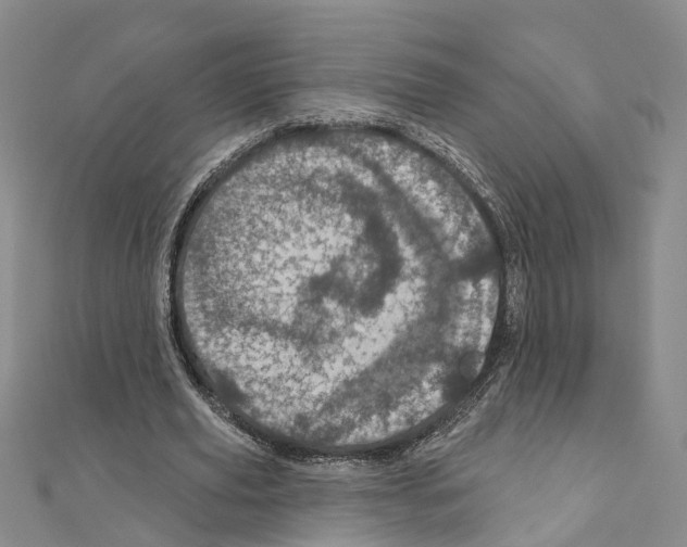 X0000110880629200907301434