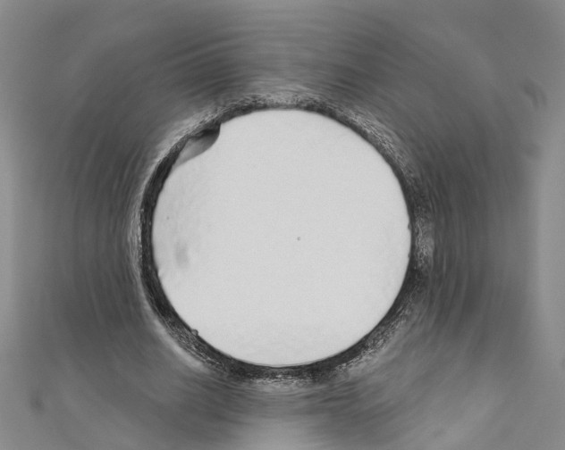 X0000110880630200907301434