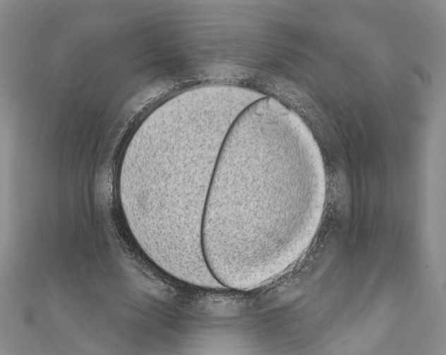 X0000110880632200907301434