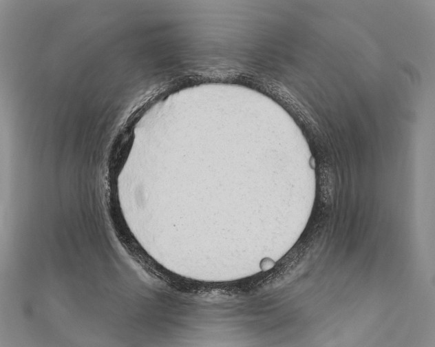 X0000110880634200907301434