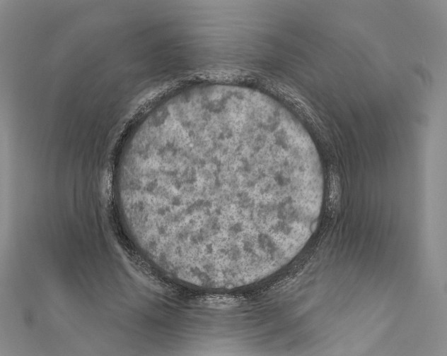 X0000110880636200907301434