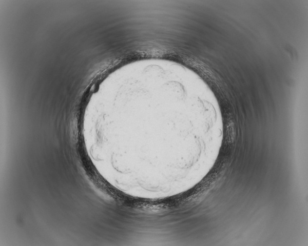 X0000110880638200907301434