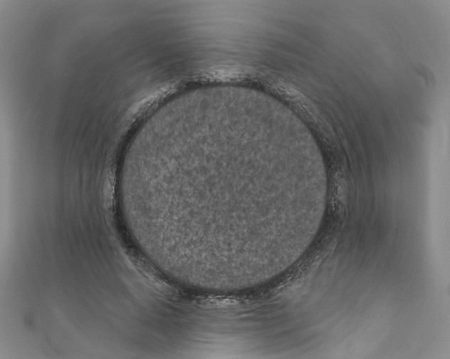 X0000110880640200907301434