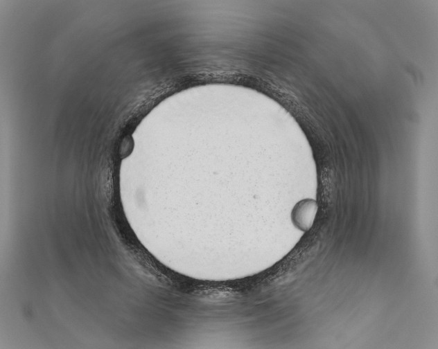 X0000110880642200907301435