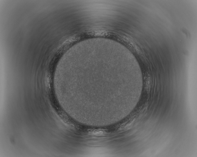 X0000110880643200907301435