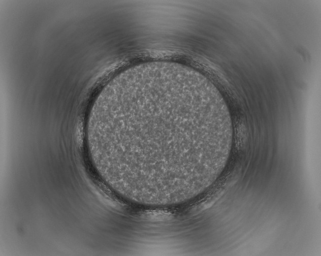 X0000110880644200907301435