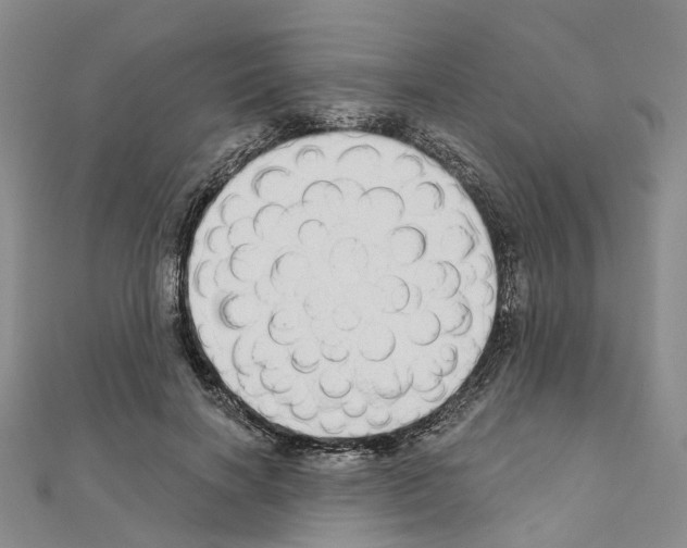 X0000110880646200907301435