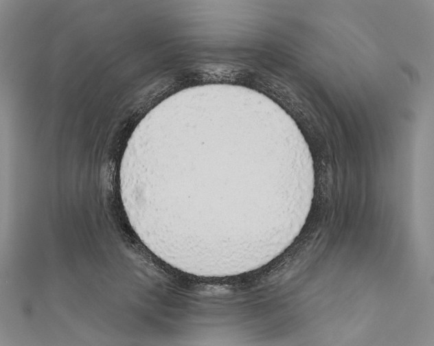 X0000110880649200907301435