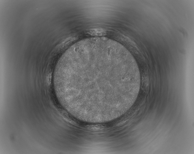 X0000110880652200907301435