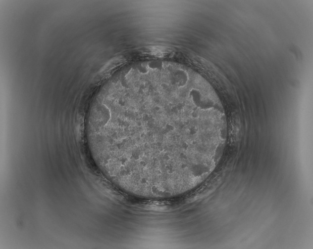 X0000110880656200907301435