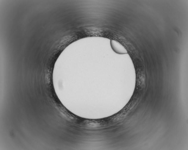 X0000110880658200907301435