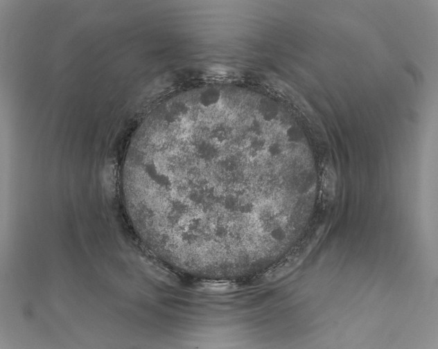 X0000110880659200907301435