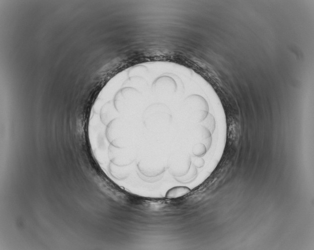 X0000110880662200907301435