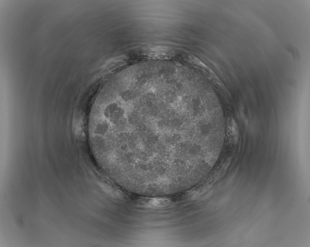 X0000110880663200907301435