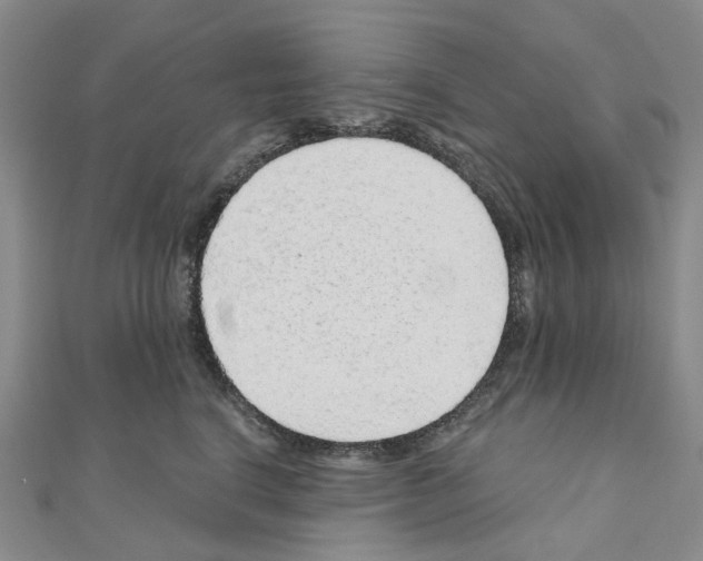 X0000110880664200907301435