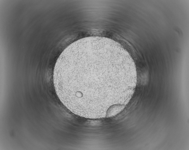 X0000110880665200907301435