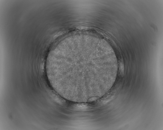 X0000110880668200907301435