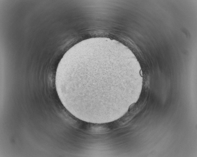 X0000110880669200907301435