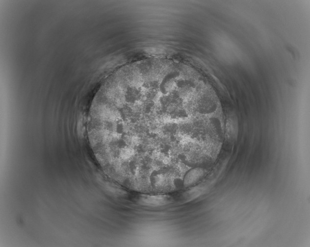 X0000110880671200907301435